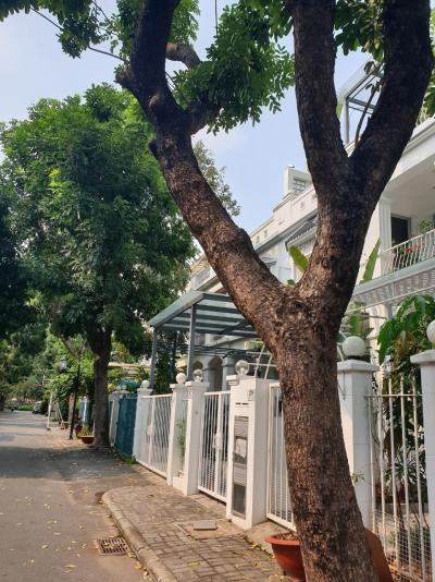 My Giang villa for rent, area: 7×18m, 1 ground + 2 floors, fully furnished, rent 1200 USD.
